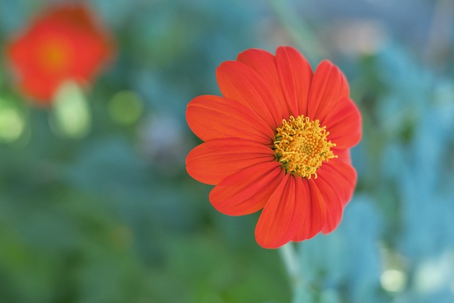 的深谋远虑 的深谋远虑