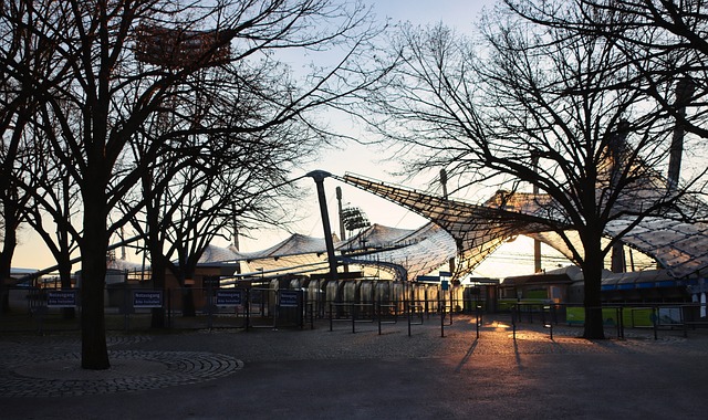 他们呼吁双 他们呼吁双